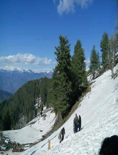 Patnitop-