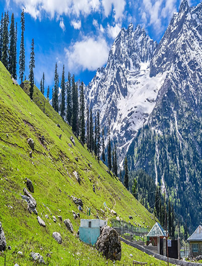 Pahalgam-Pahalgam