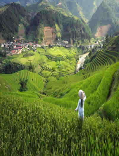 Sapa-Sapa Rice Terrace