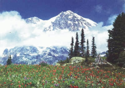 DISCOVER HIMACHAL