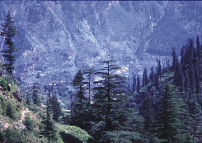 HIMACHAL FANTASY