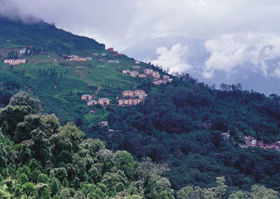 EASTERN PARADISE