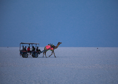 Rann Utsav