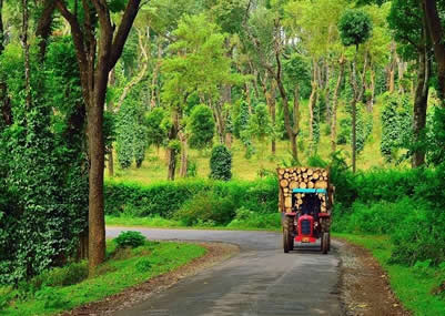 Coorg Kabini Bangalore