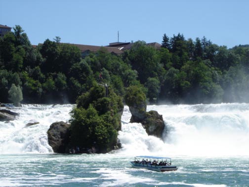 Rhine Falls with Cruise 